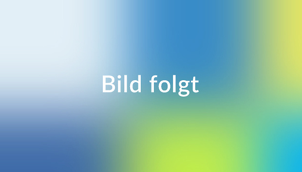 Bild folgt - Flyerline