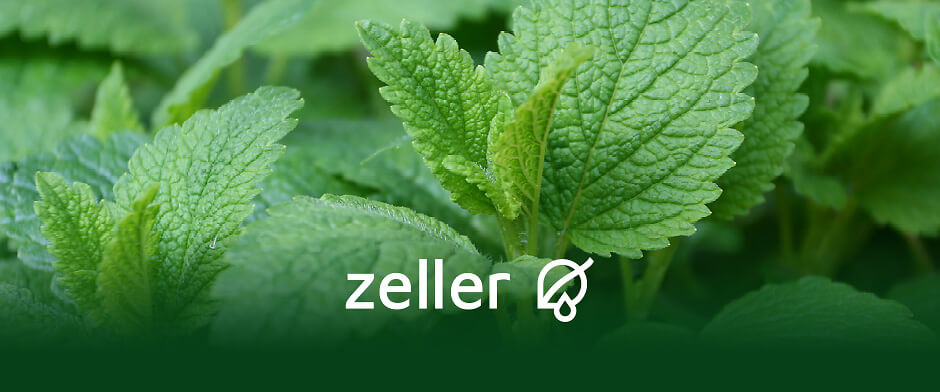 Case Study - Customised POS materials for pharmaceutical manufacturers - Blog Case Study - Customised POS materials for pharmaceutical manufacturers - Blog