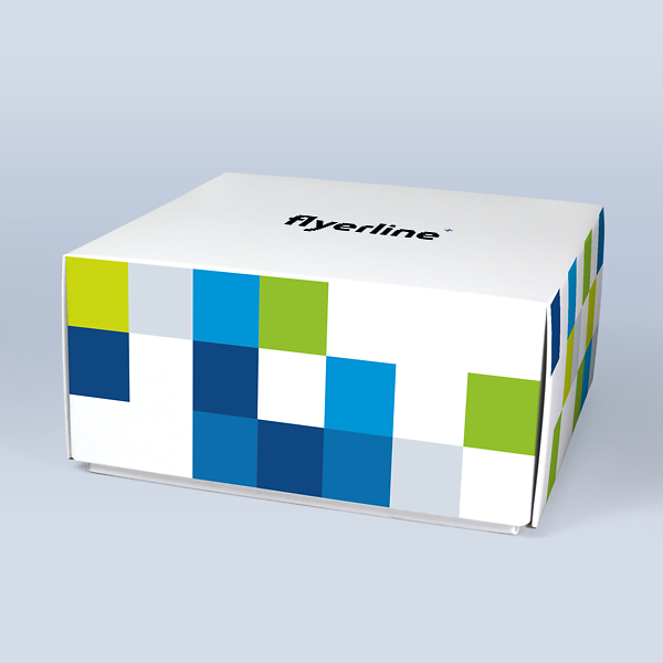 Custom-printed Slip Lid Box for gifts and products