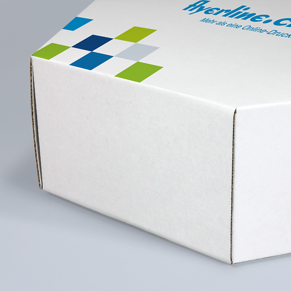 CH Produkt Slider Bild Stuelpschachtel 6eck Bild3