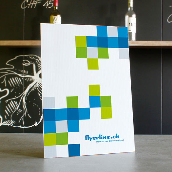 CH Produkt Slider Bild Thekensteller Rueckenstuetze Bild3