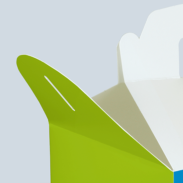 CH Produkt Slider Lunchbox Karton gross mit Tragegriff Bild3