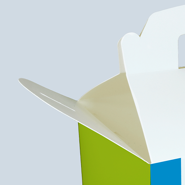 CH Produkt Slider Lunchbox Karton klein mit Tragegriff Bild3